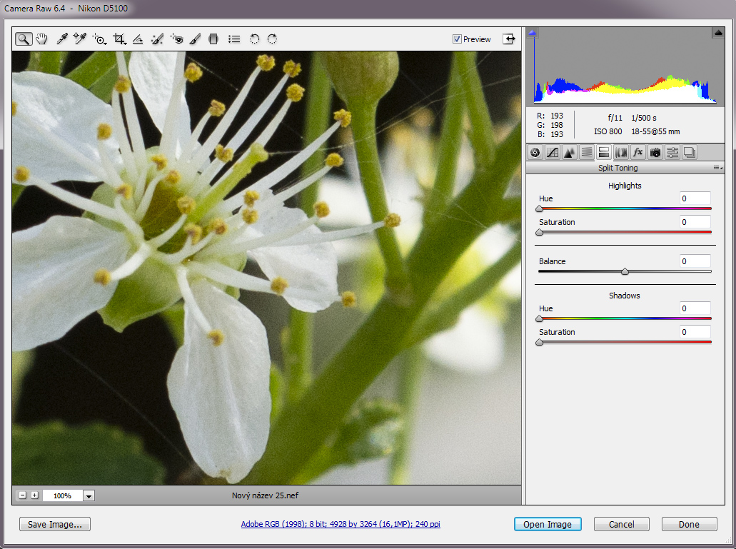 Adobe Camera Raw 6.4