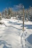 7295419321231002690.jpg - By: martin.mb