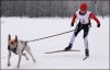 2203958591233420266.jpg - By: bubulinka
