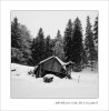 samoty - By: MiraD