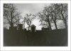 cementary...camera obscura - By: MiraD