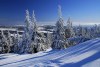 5104266631237581342.jpg - By: milcaj