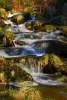 3423615581237581344.jpg - By: milcaj
