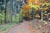 3492271771257590715.JPG - By: Weloped