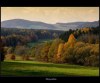 794704371244355223.jpg - By: Aleš Bican