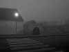 2536371981259435263.jpg - By: Wapi