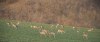 6479202941239530954.jpg - By: seba