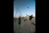 6135941031251055778.jpeg - By: Lopisheck