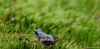 906128321223131684.jpg - By: Scooly