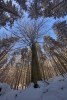 4016868471256133743.jpg - By: scientik