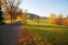 2209123321257579497.jpg - By: Pštros