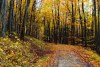 938011071259267248.jpg - By: Ikarus