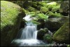 9526940451261297036.JPG - By: Robb Fron Lensman cz