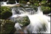 1058532181261297037.JPG - By: Robb Fron Lensman cz