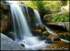 8370090071261297037.JPG - By: Robb Fron Lensman cz