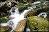 5283504661261297038.JPG - By: Robb Fron Lensman cz