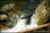 7402800991261297038.JPG - By: Robb Fron Lensman cz