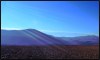 6640979071262443728.jpg - By: papulo