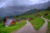 8701852321223563252.jpg - By: fipa