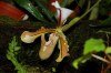 botanická zahrada - By: lattenka