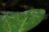 botanická zahrada - By: lattenka
