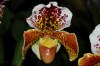botanická zahrada - By: lattenka