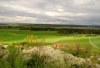 2845120761240158495.jpg - By: Petr K