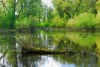 1621326951240158496.jpg - By: Petr K