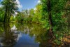 3641860821240158914.jpg - By: Petr K