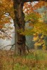 9165071651223930036.jpg - By: mkarpala