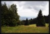 Polana - By: jostrih