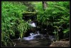 Polana - By: jostrih