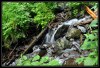 Polana - By: jostrih