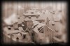 Roofs - By: petrnikl