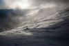4853475491242220519.jpg - By: honzyk