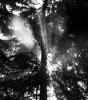 sungame - By: djstek