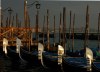 671990551223493949.jpg - By: dalibor.jilek