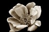 flower - By: Jan Vodrazka