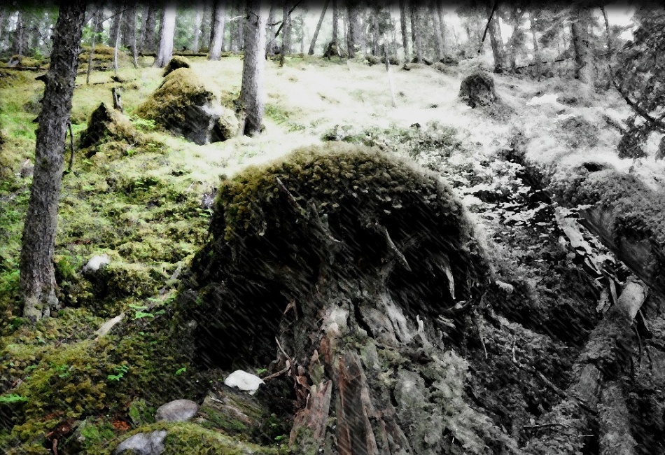 nature
