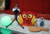 7697168311257552719.jpg - By: alche