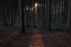 8255342941234027155.jpg - By: faltyn