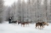 8606784761255870148.jpg - By: rk
