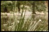 509511991223626835.jpg - By: Trebble.cz
