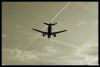 5543791571224077198.jpg - By: Trebble.cz