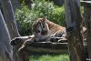 9176084671243585604.jpg - By: Michal Rady