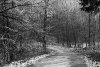 290544071230679516.jpg - By: olmann