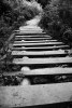 7810804131228685275.JPG - By: apinek