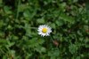 7701687871229880247.JPG - By: Gelo