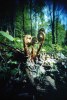 1863481511260993576.jpg - By: MINOX