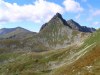 6298062391230746690.jpg - By: vanicek